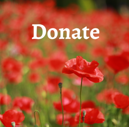 Donate & Help
